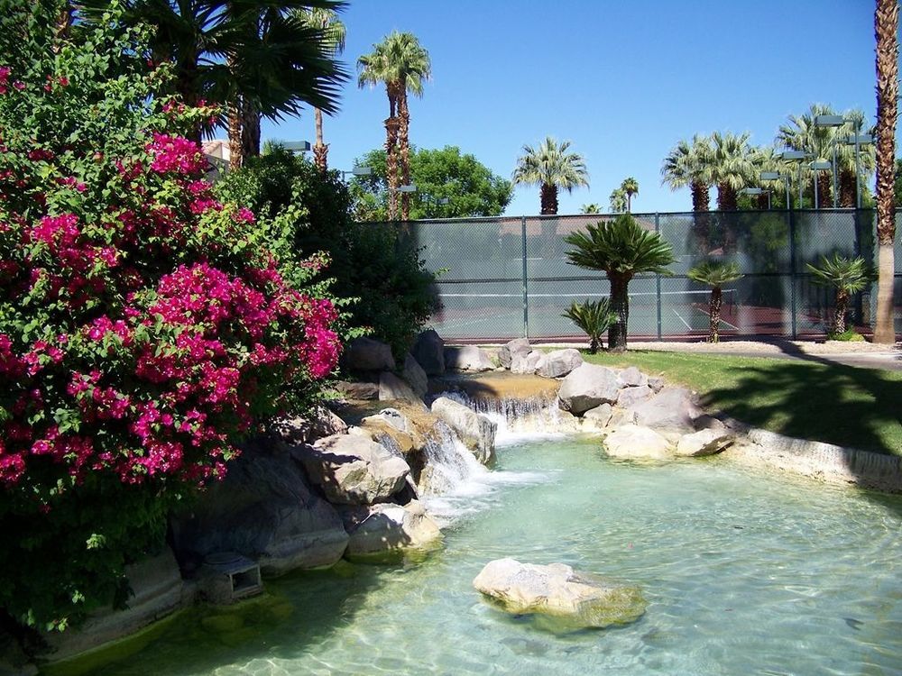 The Oasis Resort Palm Springs Facilidades foto